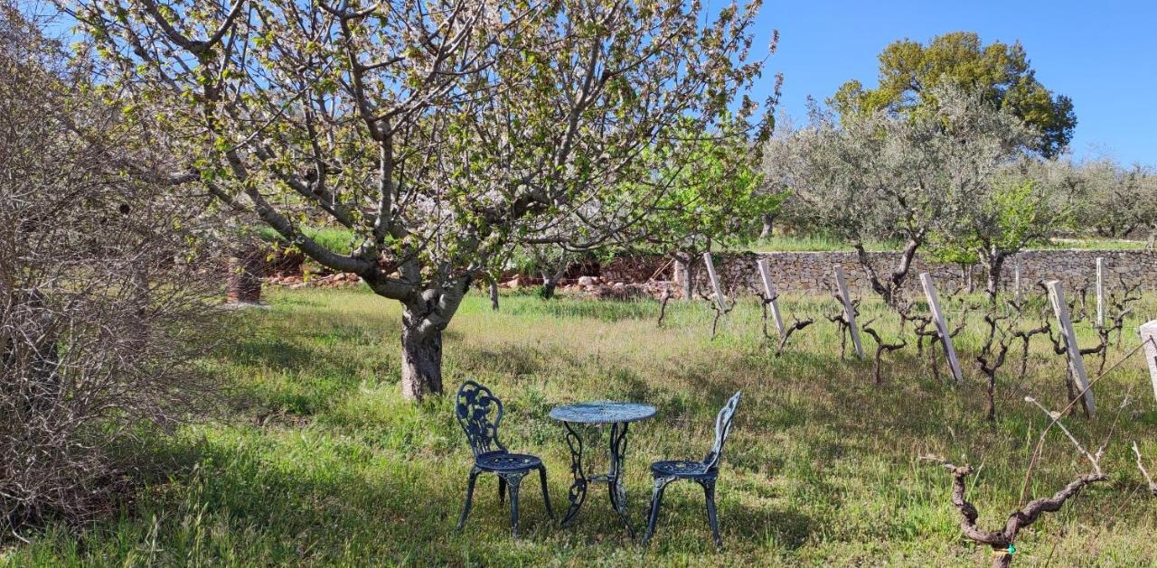 Il Vigneto Sole&Luna Con Piscina Privata มาร์ตินาฟรังกา ภายนอก รูปภาพ