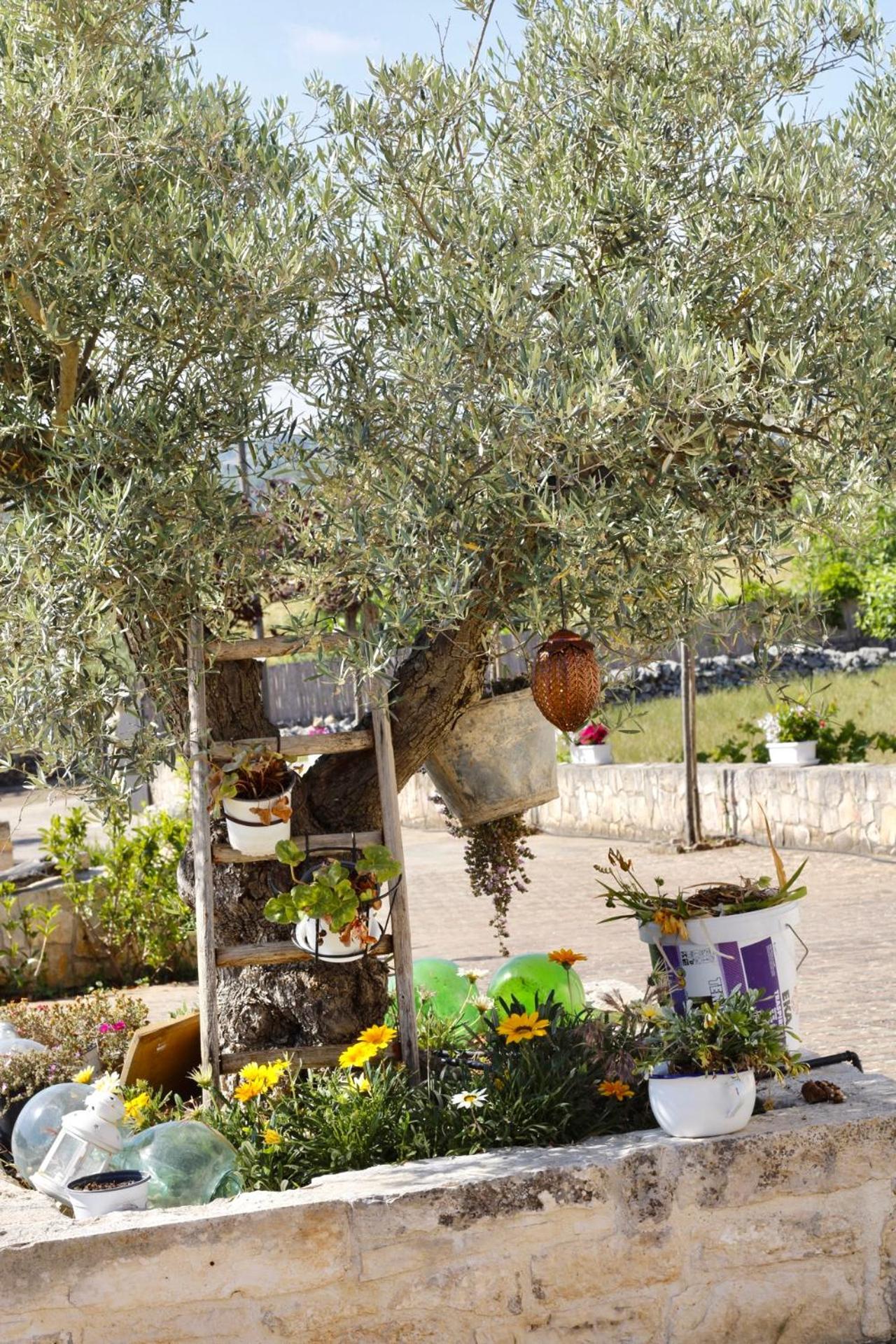 Il Vigneto Sole&Luna Con Piscina Privata มาร์ตินาฟรังกา ภายนอก รูปภาพ